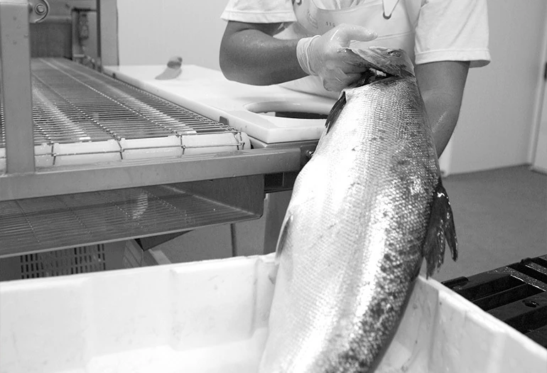 Cadelmar materie prima azienda ittica Stabilimento di produzione